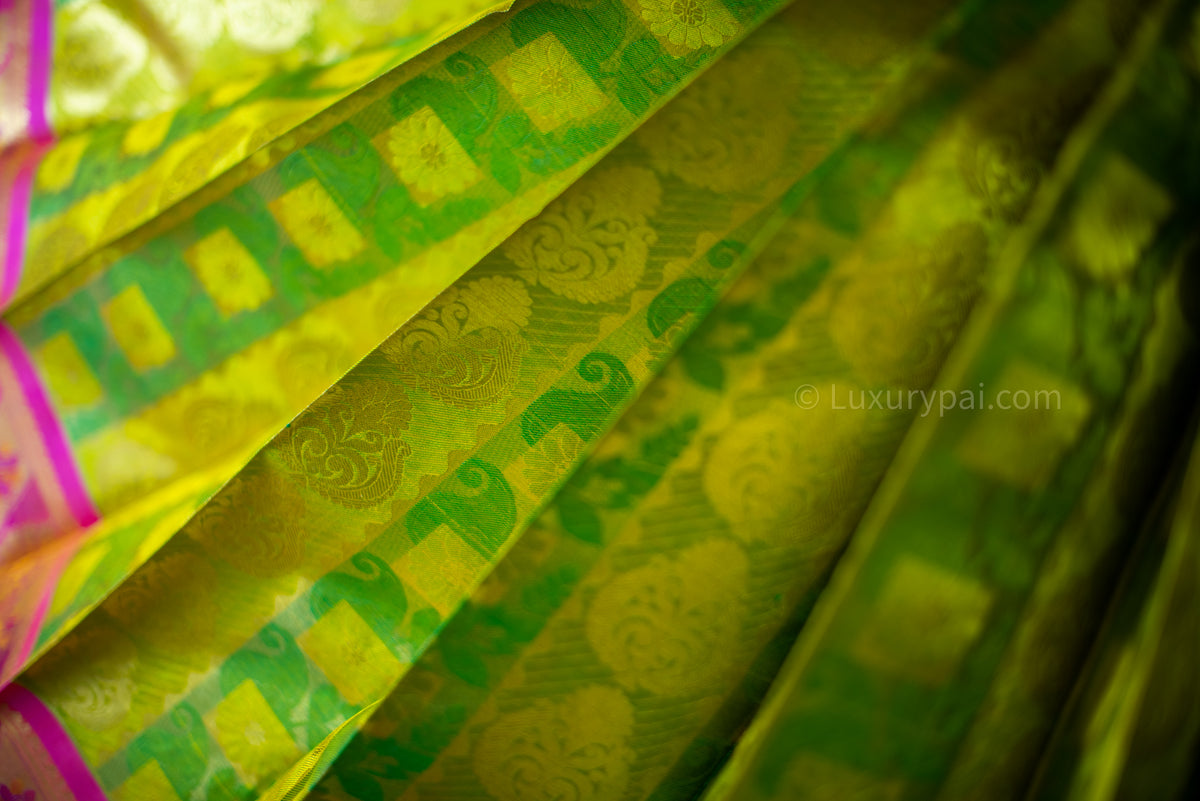 Gorgeous Parrot & Leaf Green Kanchipuram Pure Pattu (Silk) Handloom Kai Korvai Bridal Wedding Saree