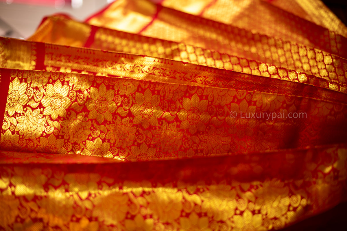 Stunning Tomato Red Kanchipuram Pattu Saree with Exquisite Betel Leaves Design - A Luxurious and Elegant Piece for Any Occasion